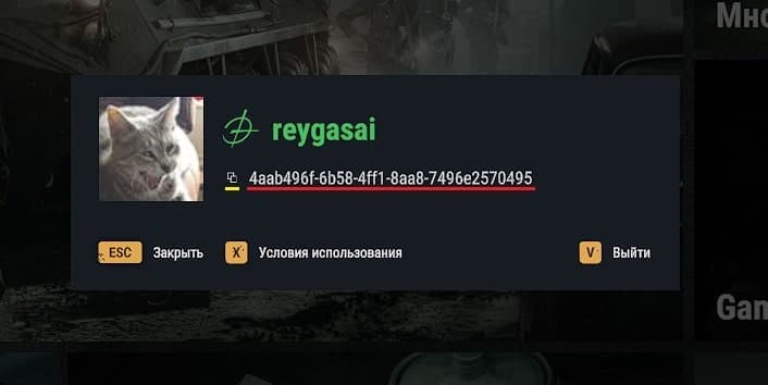 Окно с Arma Id