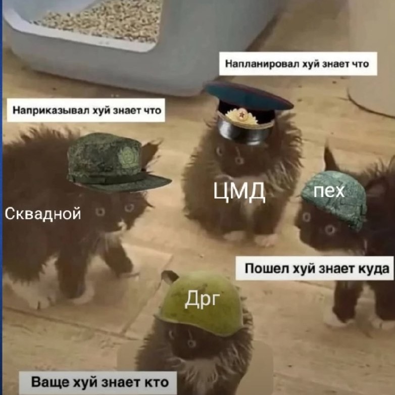 Логотип отряда Tactical Flava