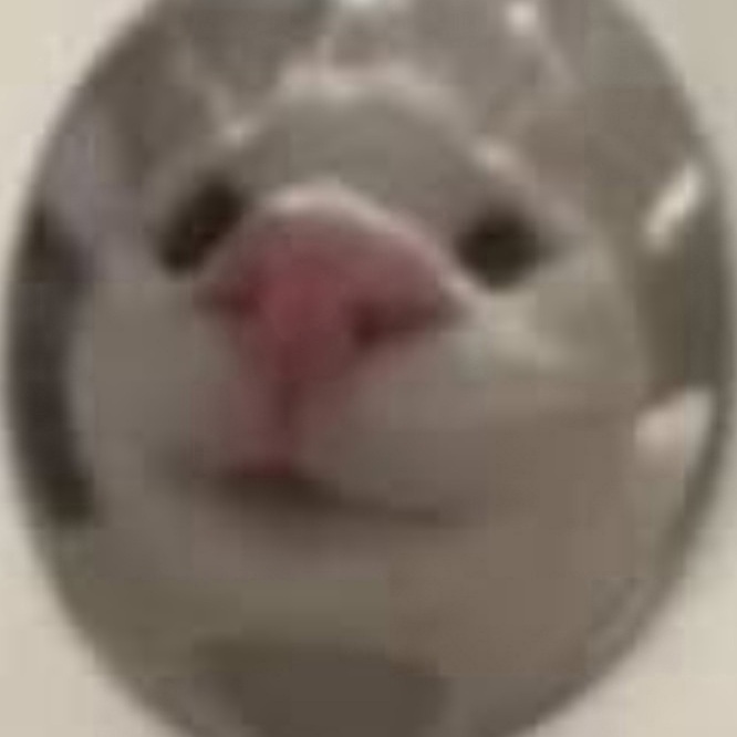 Аватар xzTWINzx