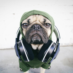 Аватар аналитик титик 