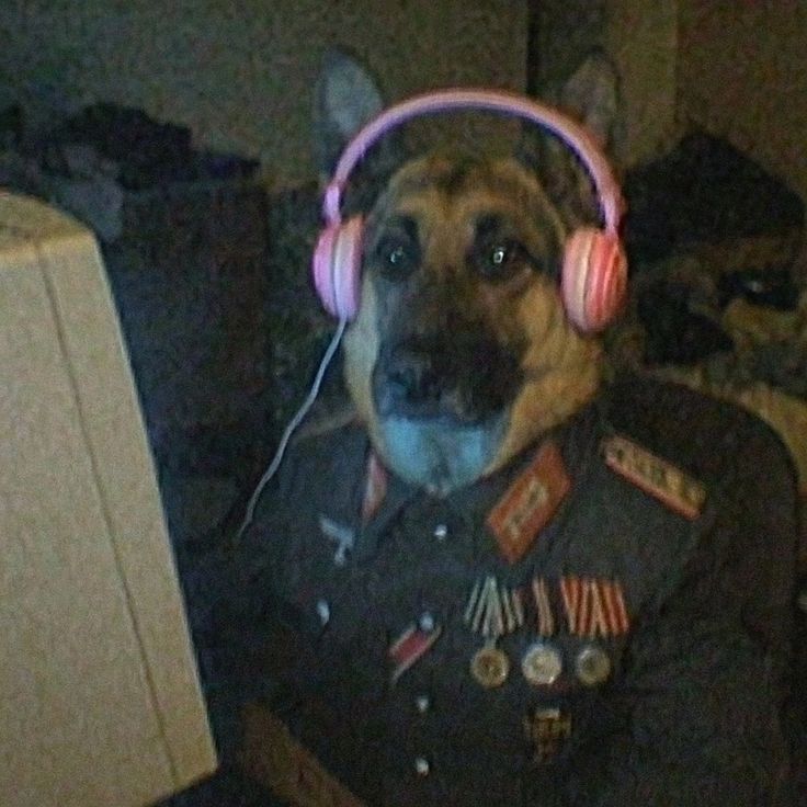 Аватар metalelpipe