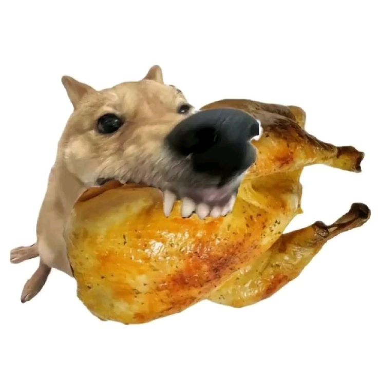 Аватар [SSOT] Tamoech