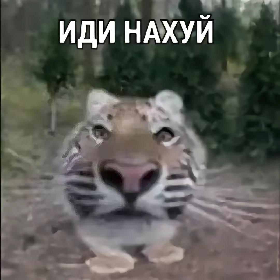 Аватар Шматко